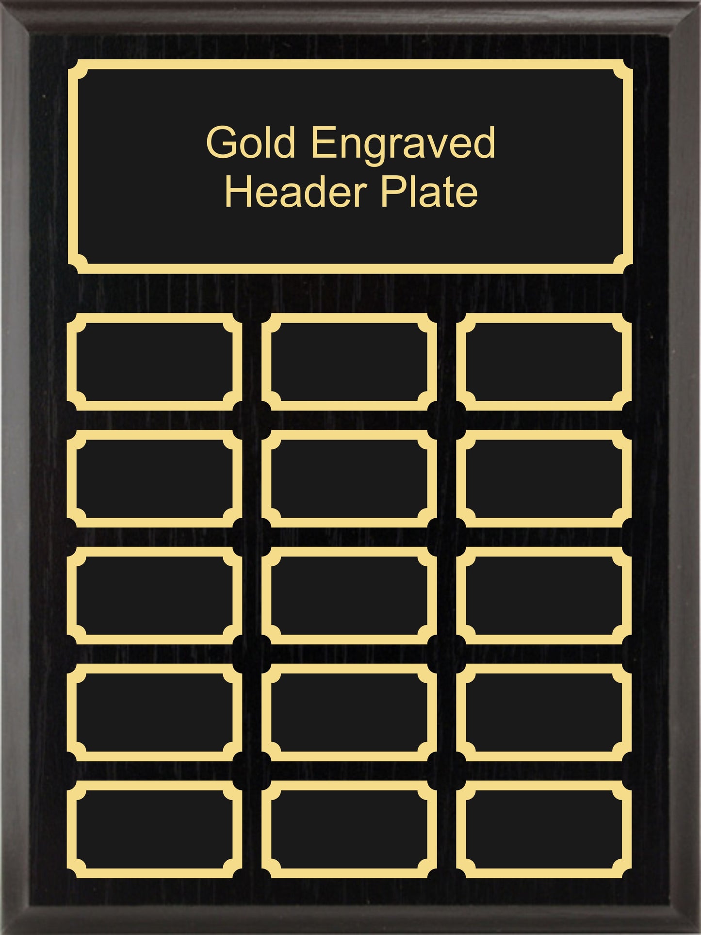 9x12 Black Ash Annual Plaque