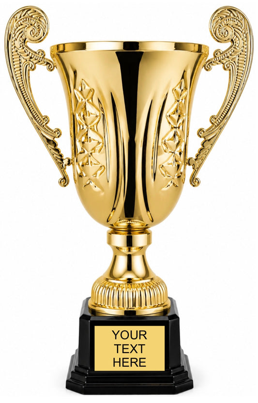 Manchini Cup