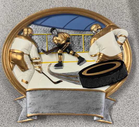 3D Hockey wall hanger/Stand Resin