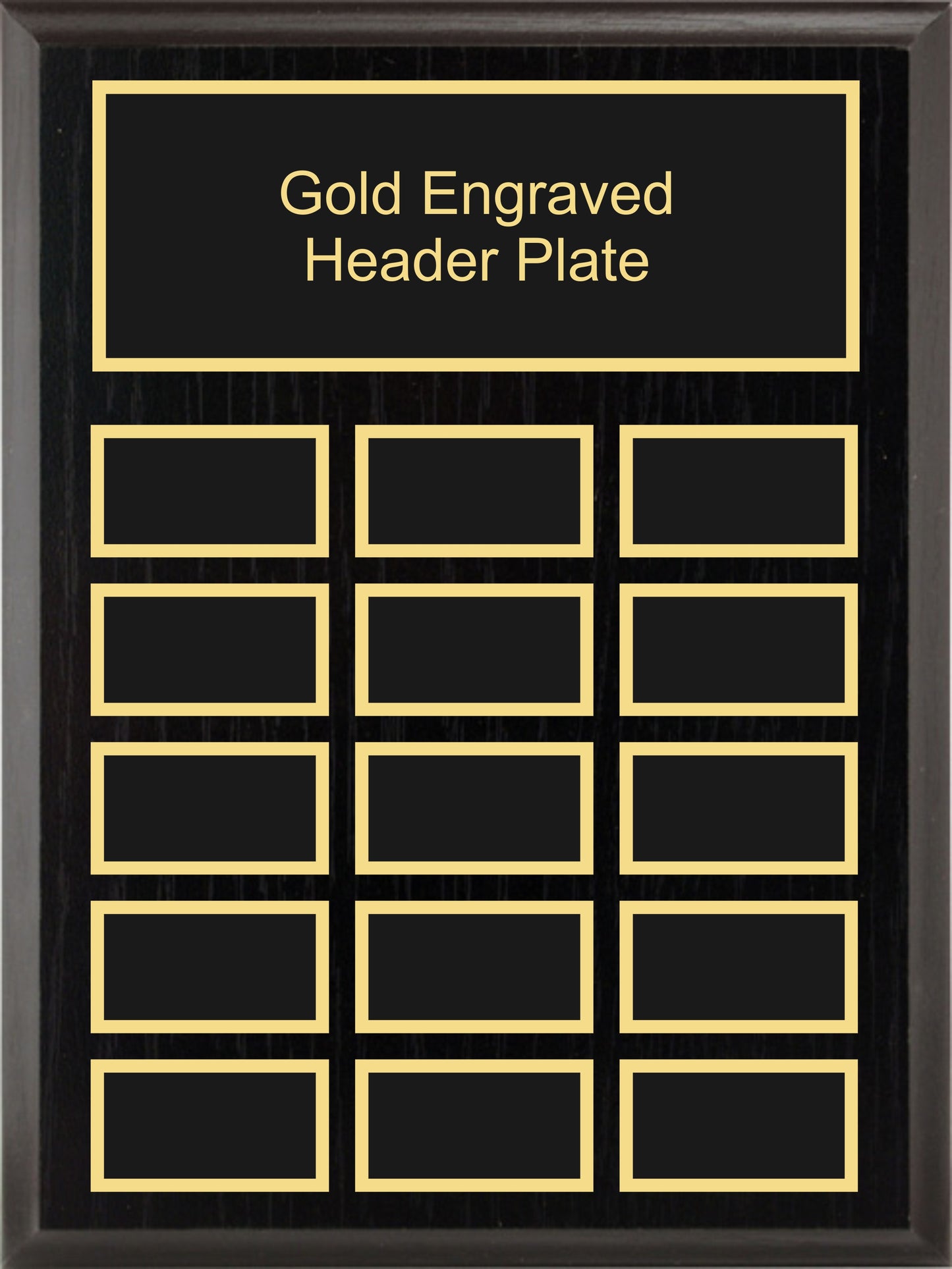 9x12 Black Ash Annual Plaque