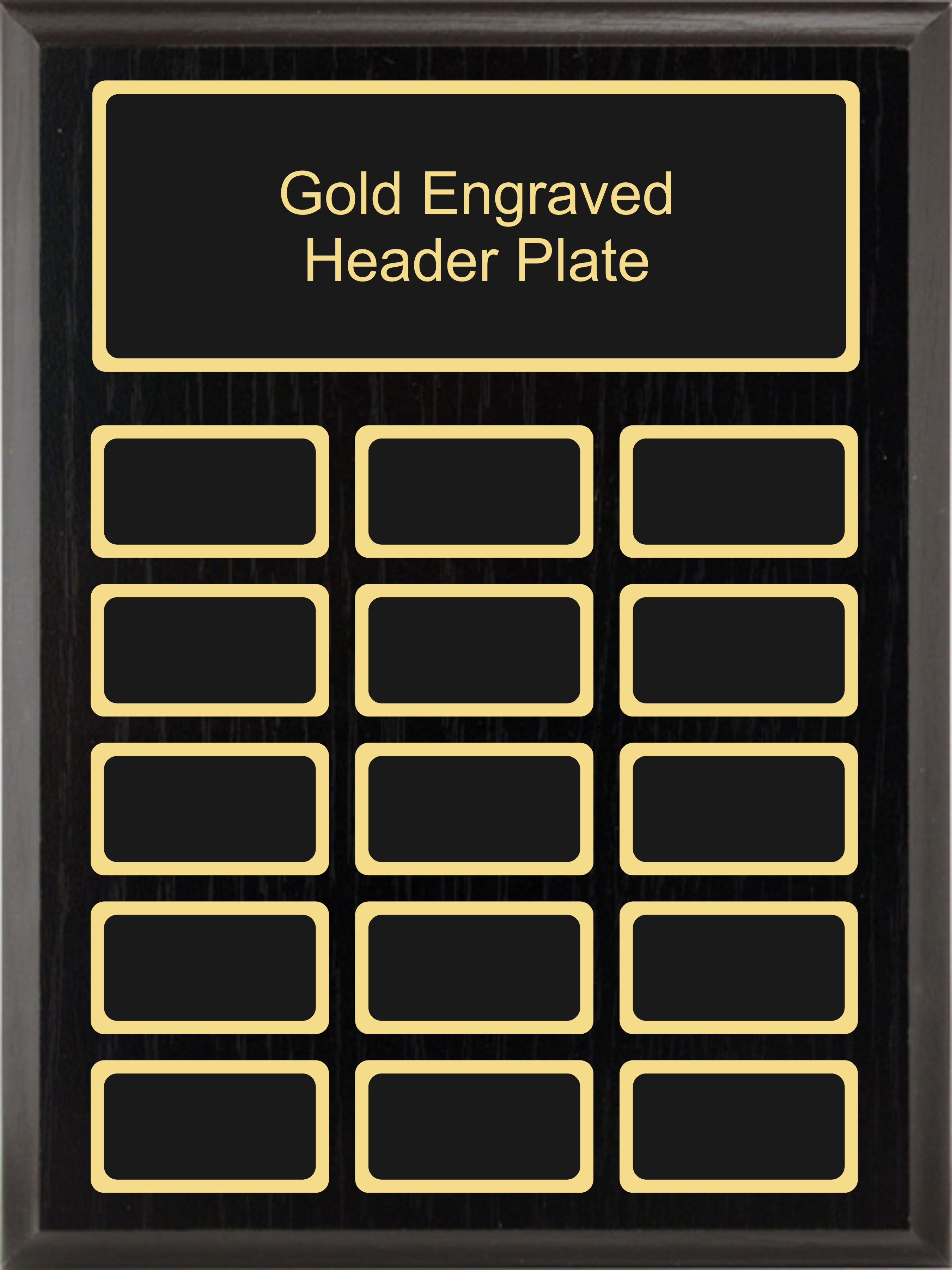 9x12 Black Ash Annual Plaque