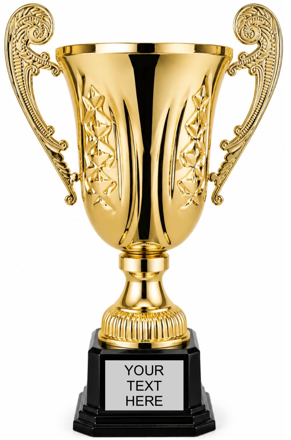 Manchini Cup