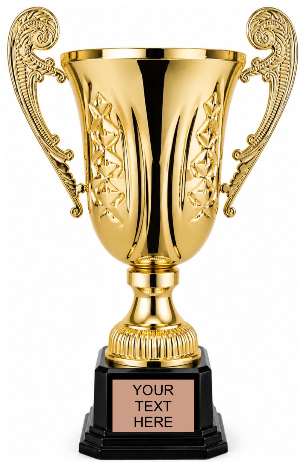 Manchini Cup