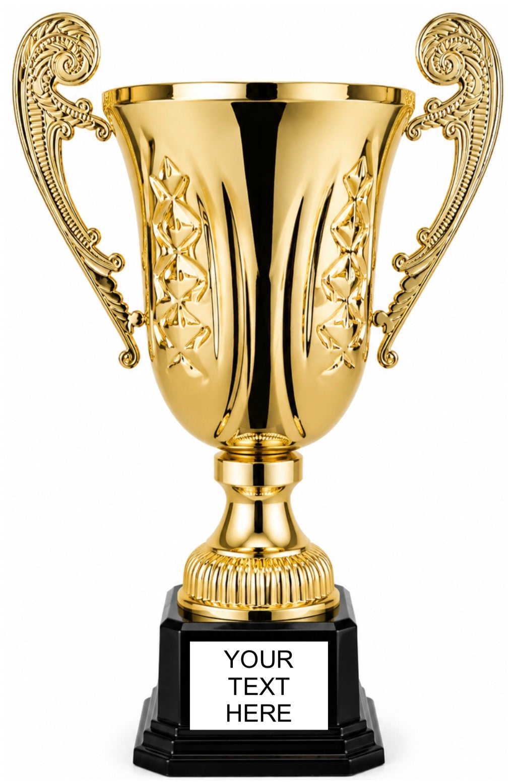 Manchini Cup