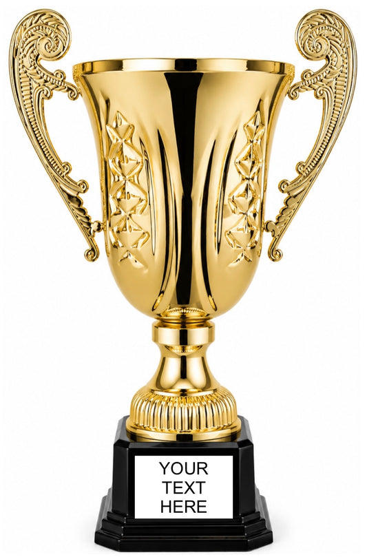 Manchini Cup